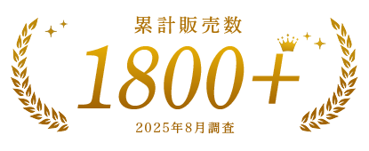 実績2